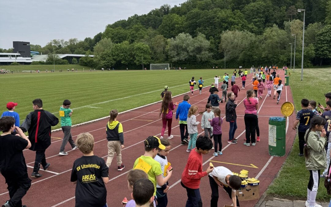 Statistische Daten zu unserem Sponsorenlauf