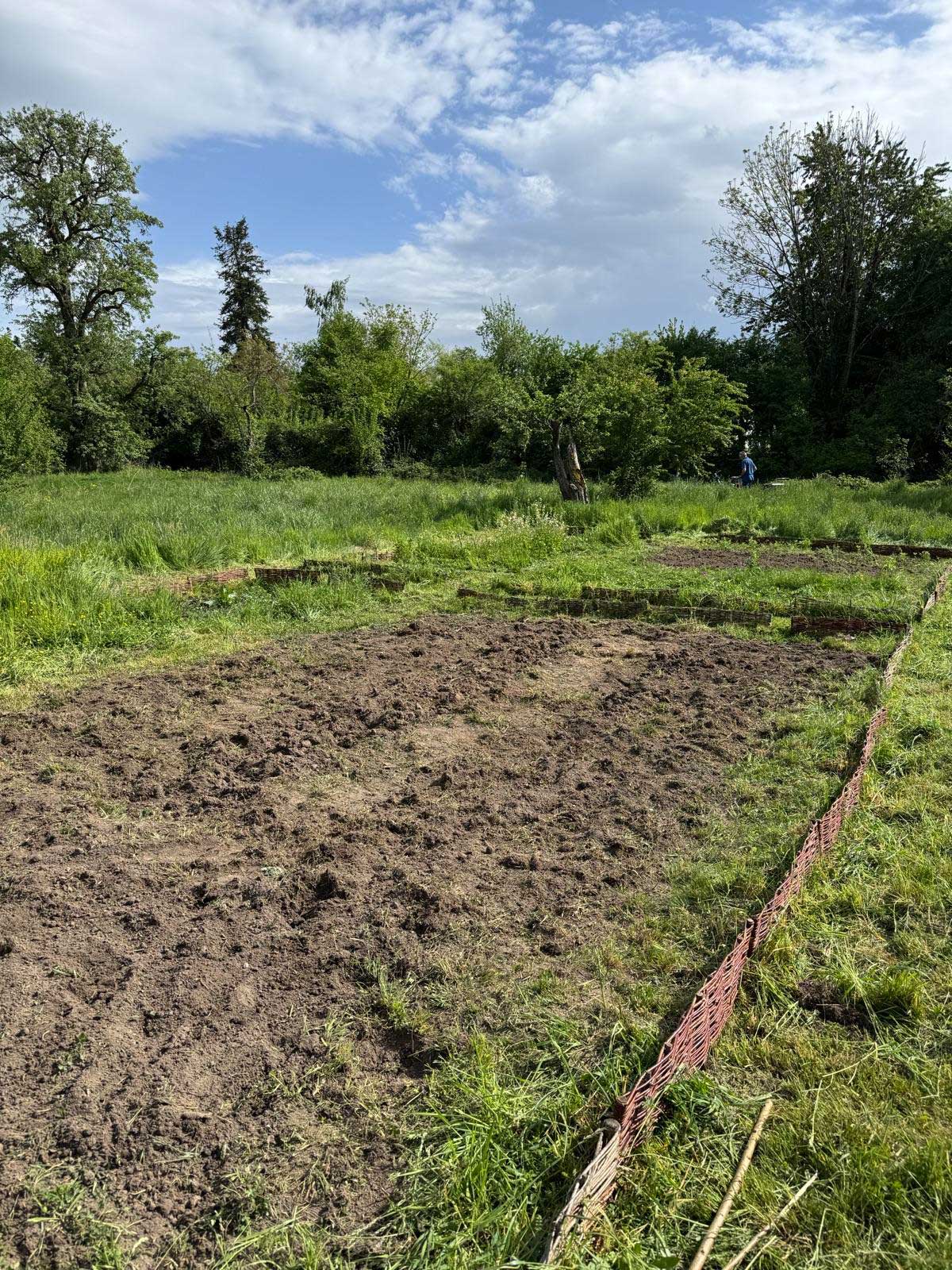 Garten4